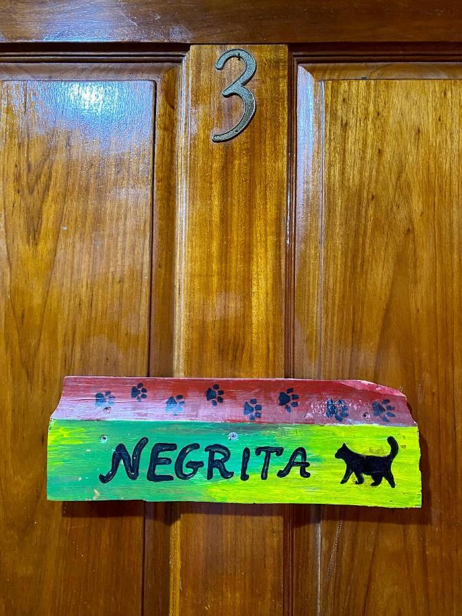 Cat In The Cup B&B Bocas del Toro Exterior photo
